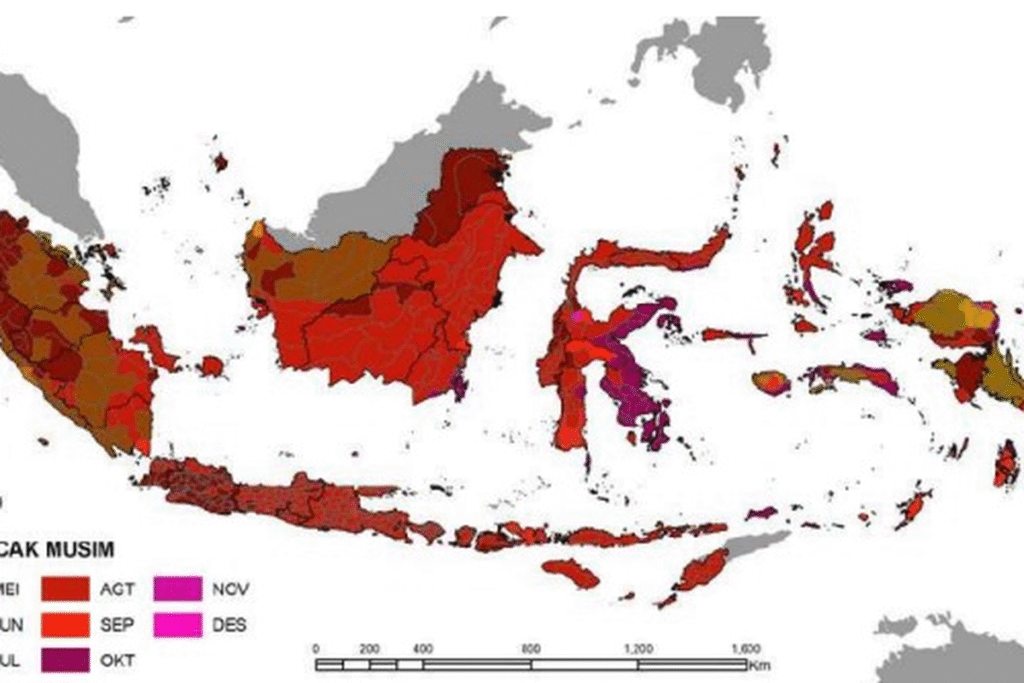Musim Kemarau